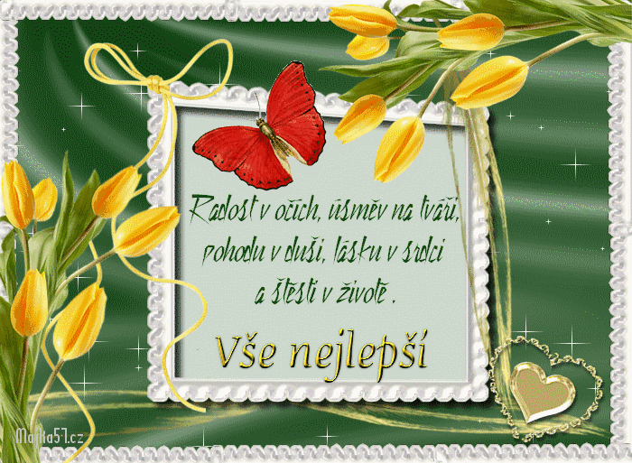 www.majka57.cz/prani_pranicka/vse_nejlepsi/vse_nejlepsi9.gif